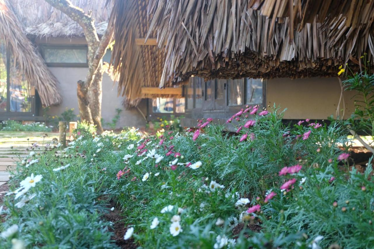 L'Amant Homestay Đà Lạt Extérieur photo