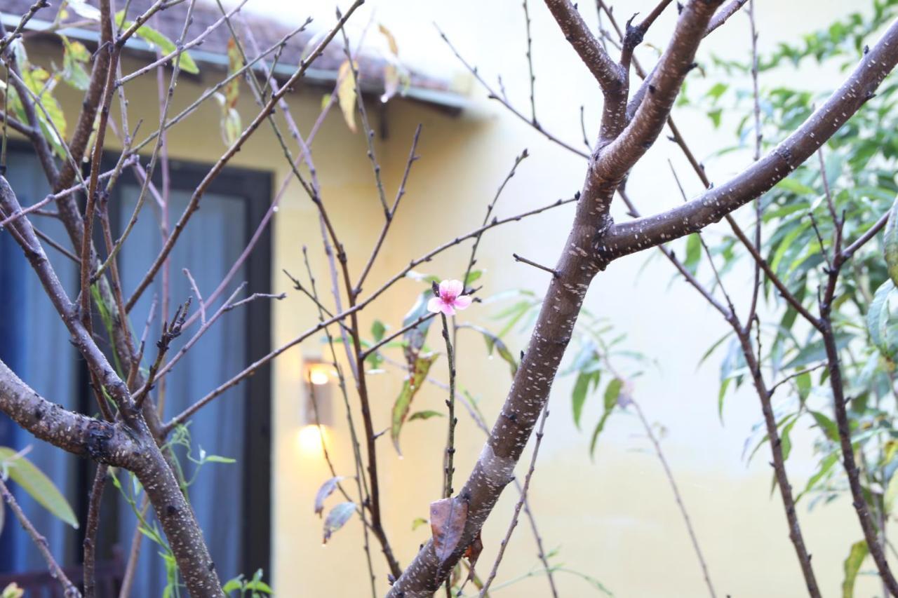L'Amant Homestay Đà Lạt Extérieur photo