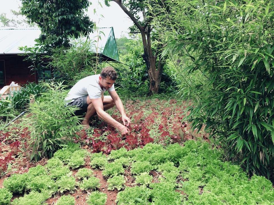 L'Amant Homestay Đà Lạt Extérieur photo