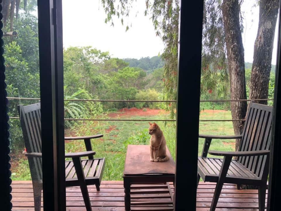 L'Amant Homestay Đà Lạt Extérieur photo